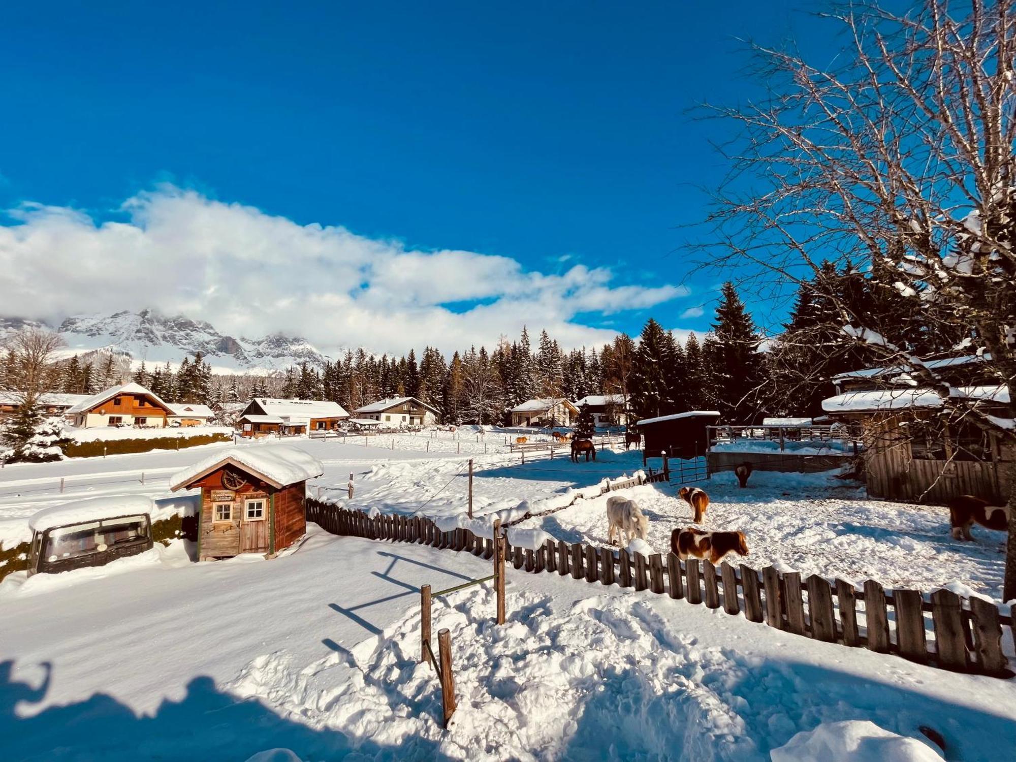 Pension Vorberghof- Bauernhofurlaub Ramsau am Dachstein Exteriér fotografie